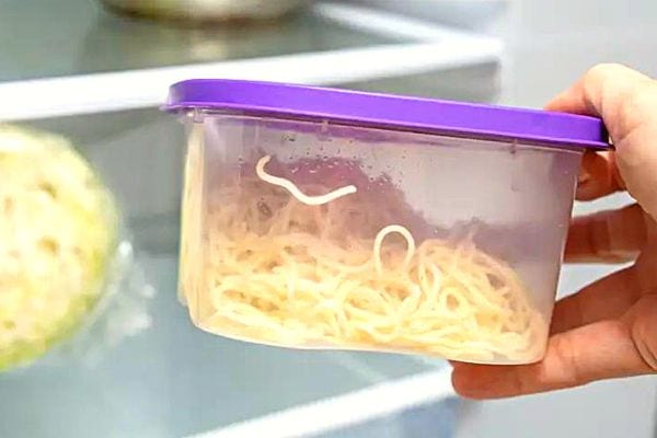 Une personne tenant une boîte en plastique avec un couvercle violet remplie de spaghettis 