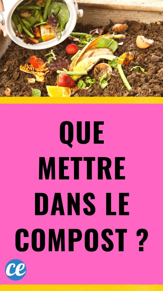 Que Mettre dans le Compost ? 100 Choses à Jeter Dedans Pour Réduire Ses Déchets.