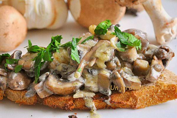 Une tartine aux champignons de Paris