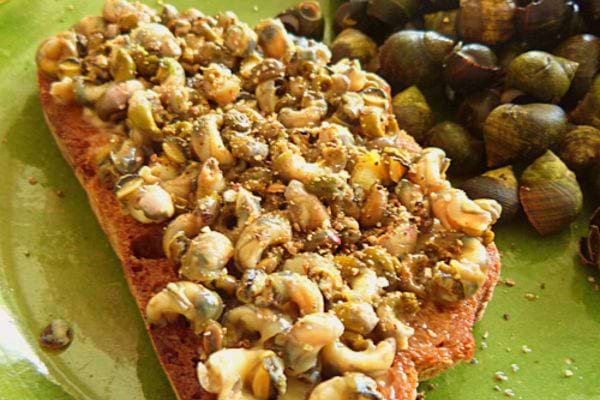 Une tartine de bigorneaux dans une assiette verte