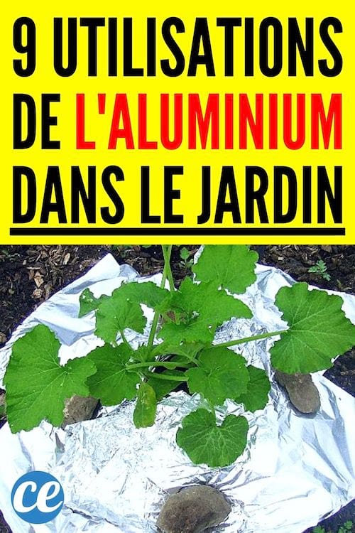 9 utilisations de l'aluminum dans le jardin ?