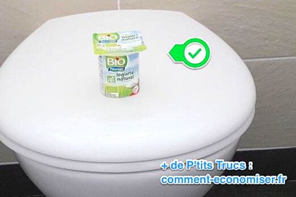 Un pot de yaourt sur une toilette 