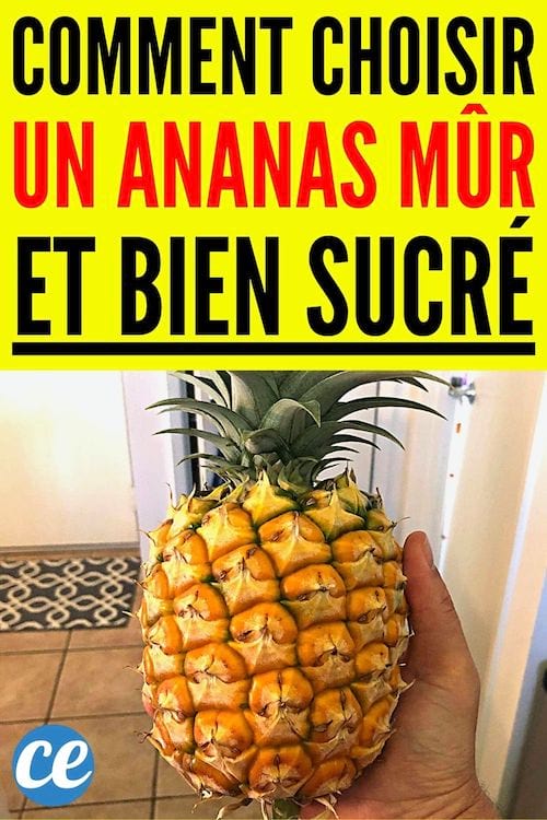 Comment choisir un Ananas mûr et bien sucré