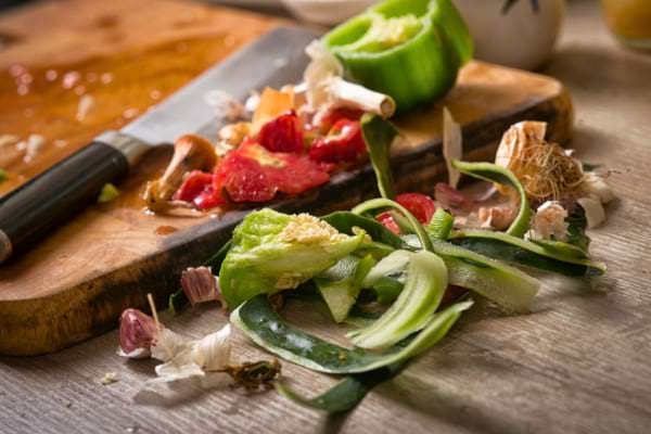 Les mouchent pondent leurs œufs dans les déchets alimentaires et autres matières organiques.