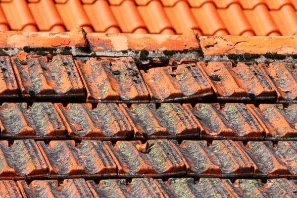 Des tuiles sales qu'il faut nettoyer au printemps ou en automne