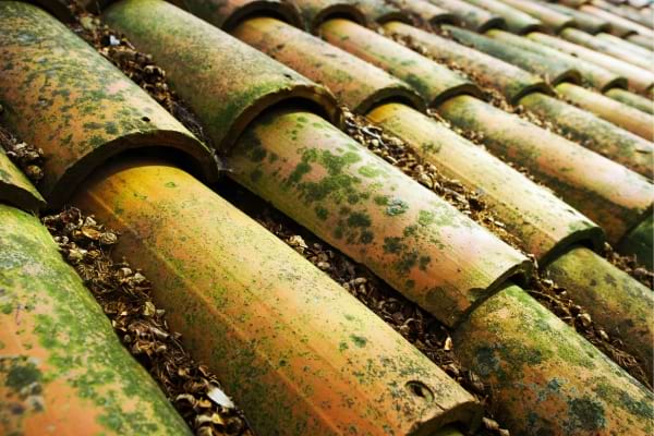 Des tuiles sales qui provoquent des infiltrations et qu'il faut nettoyer