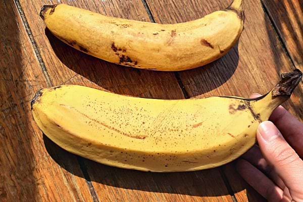 Une personne tenant une banane avec une autre banane juste à côté