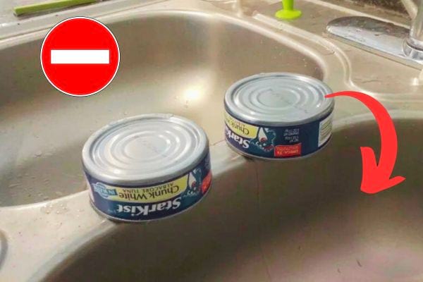 Deux boîtes de thon sur un évier 