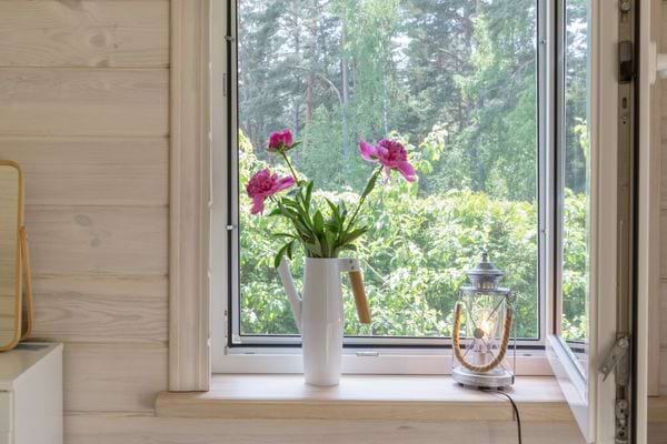 Une fenêtre ouverte dans une maison avec une plante juste devant