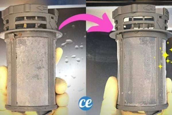 Une personne tenant un filtre de lave-vaisselle