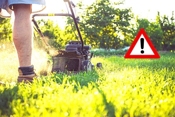 Un homme en short dans son jardin passant la tondeuse sur la pelouse