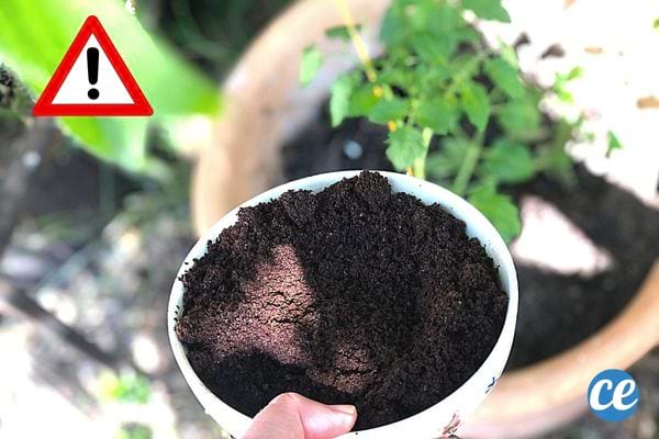 Une personne tenant un petit bol blanc contenant du marc de café