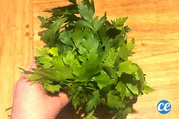 Une personne tenant du Persil