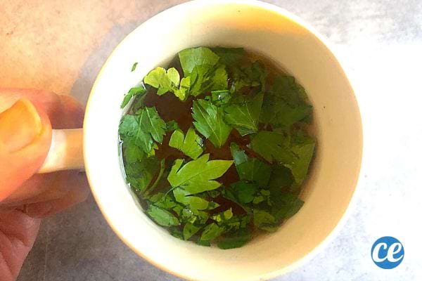 Du Persil dans une tasse remplie de thé