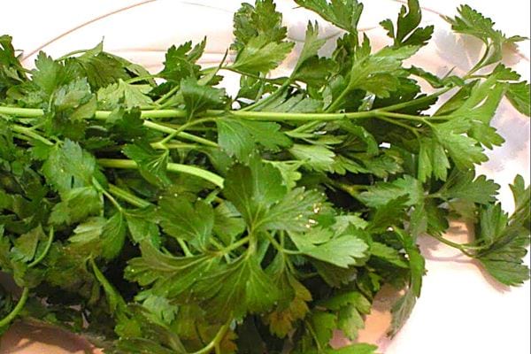 Du Persil pour le mal des transports et les nausées