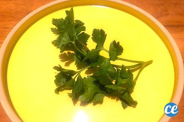 Du Persil sur une soupe jaune dans un bol