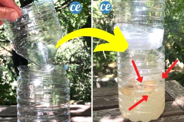 Un piège à mouches fait maison en 1 minute chrono.