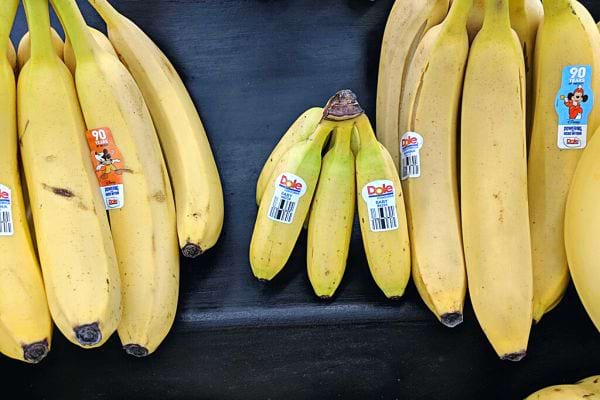 Trois packs de bananes pas encore consommés