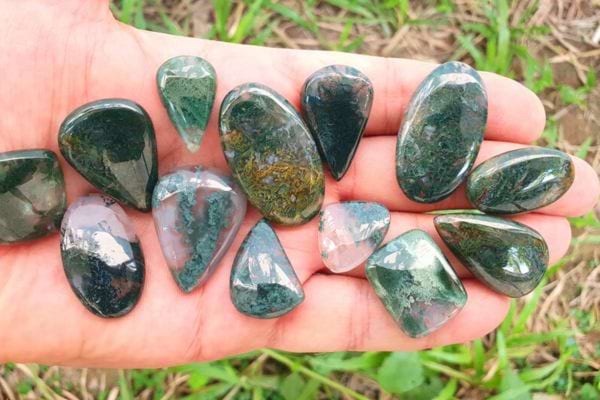 Une personne tenant des Agathe dans une de ses mains