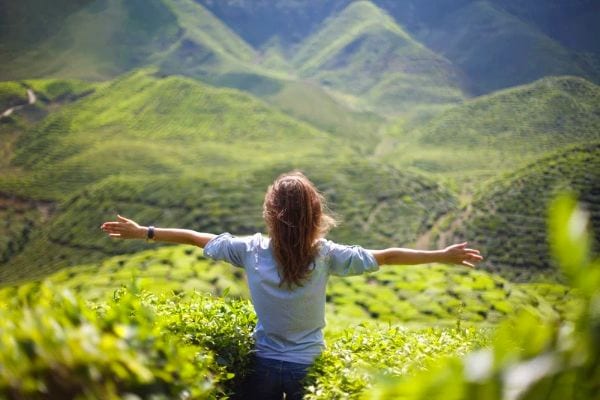 Le plus grand regret des gens en fin de vie est de ne pas réaliser leurs rêves.