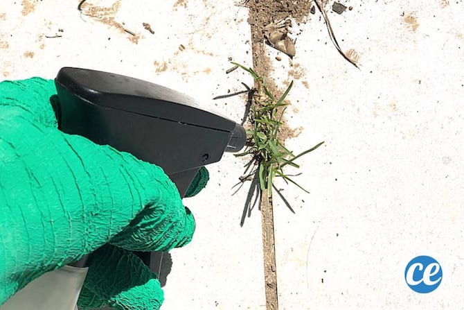 Une personne mettant du spray sur de l'herbe au sol