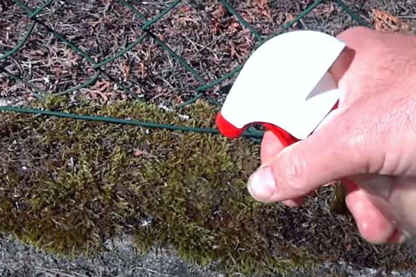 Une personne aspergeant de l'herbe à l'aide un spray 