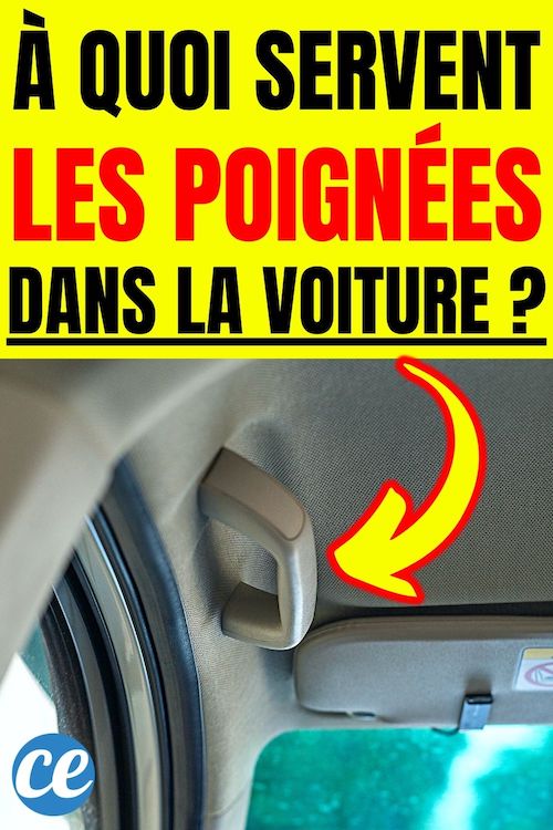 À Quoi Servent les Poignées Accrochées au Plafond de la Voiture
