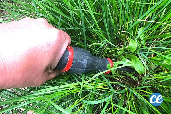 Une personne qui plante un tournevis dans une pelouse