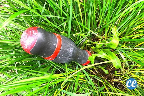 Un tournevis planté dans une pelouse