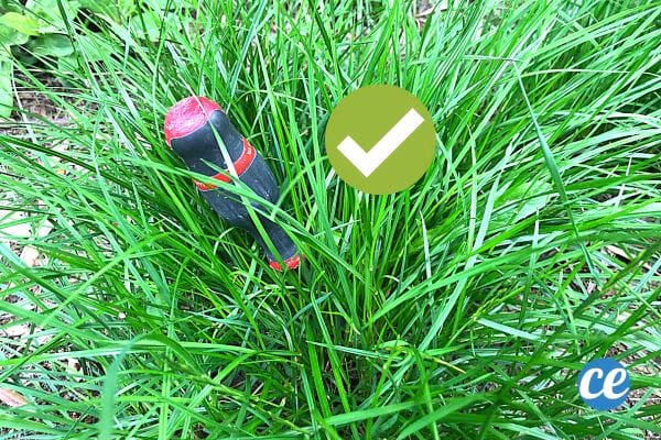 Un tournevis planté dans une pelouse