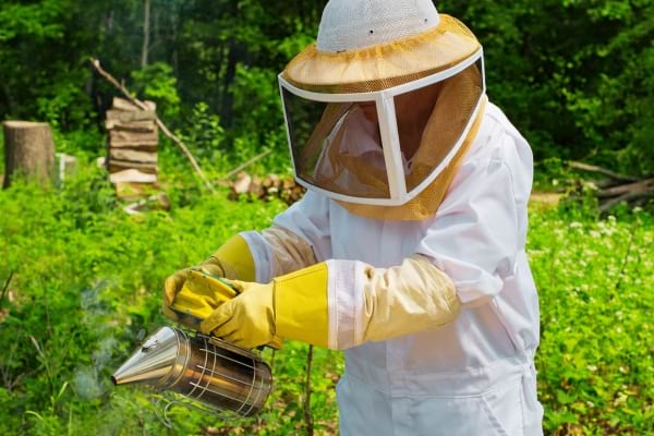 Un apiculteur qui travaille et qui peut aider à lutter contre les frelons