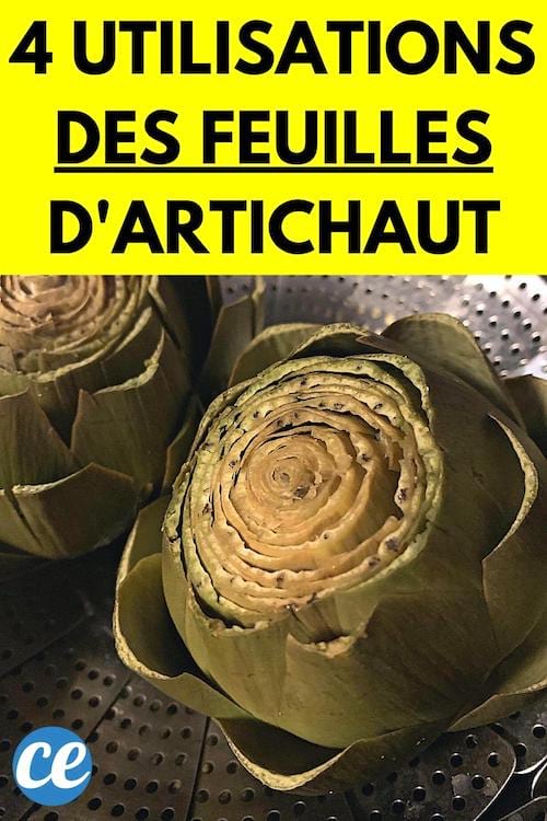Des feuilles d'artichaut qui peuvent être utilisées au lieu d'être jetées à la poubelle