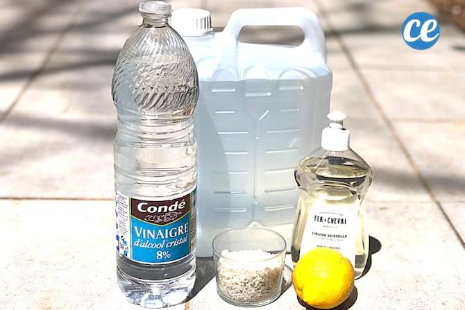 Plusieurs ingrédients contenant du vinaigre blanc du citron du sel du savon noir