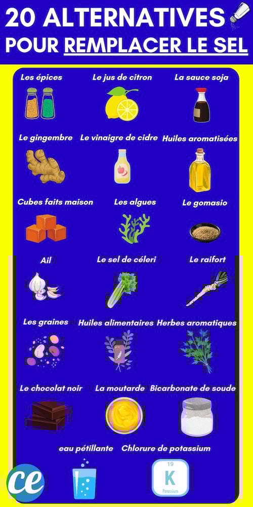 20 alternatives pour remplacer le sel