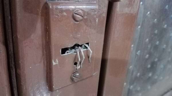 Une grosse araignée grise dans un trou 