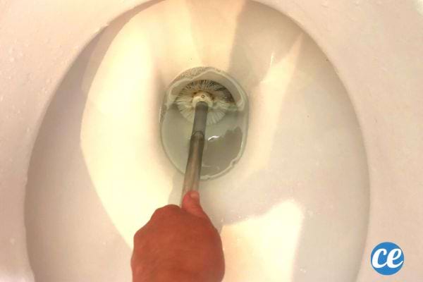 Une personne tenant une brosse des WC au fond des toilettes 