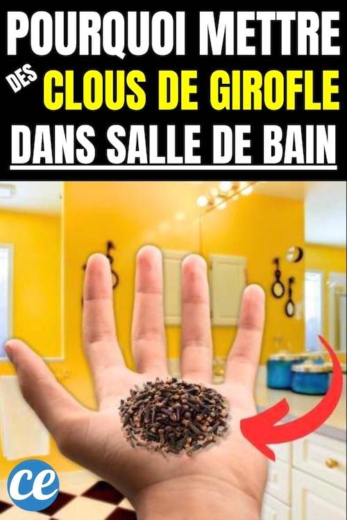 Pourquoi mettre des clous de girofle dans salle de bain 