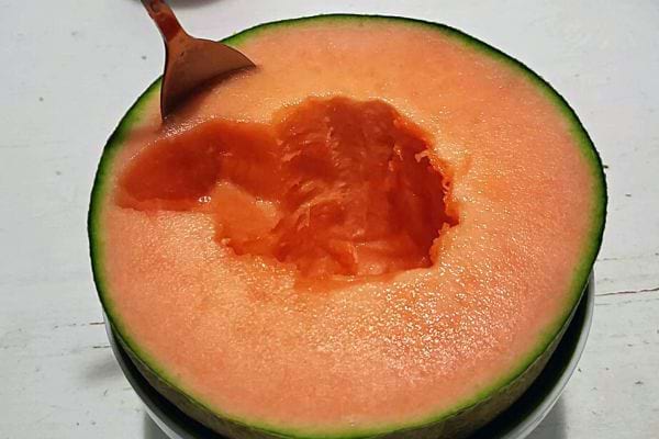 Une cuillère dans un melon 