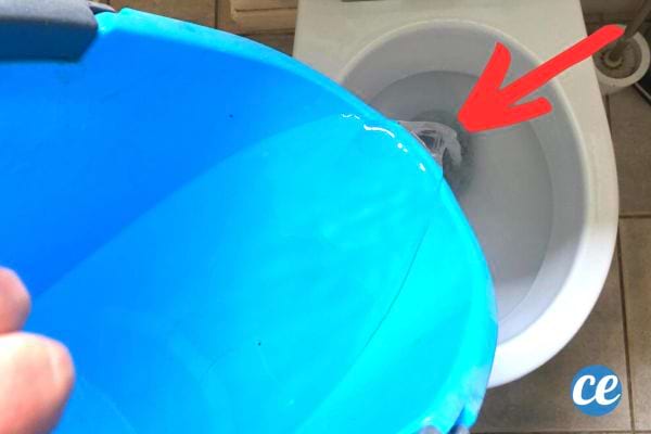 Une personne versant un seau d'eau bleu dans des toilettes 