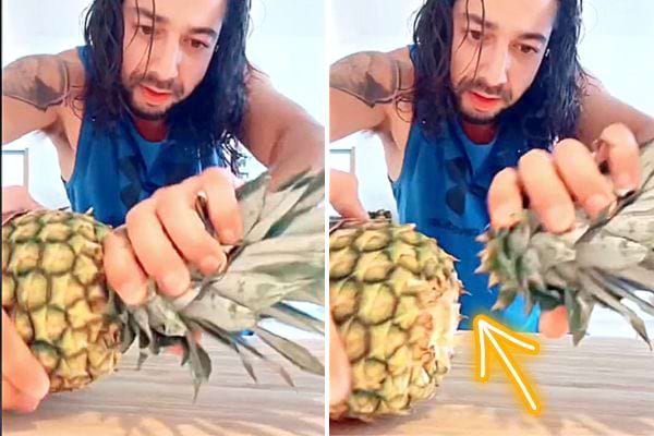 Un homme qui détache la couronne d'un ananas 