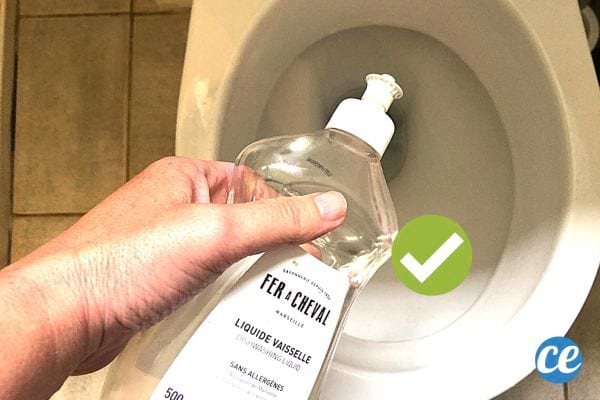 Une personne tenant une bouteille de liquide vaisselle au dessus des toilettes 