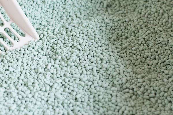 La litière pour chat pour abosrber les odeurs d'humidité sur les vêtements.