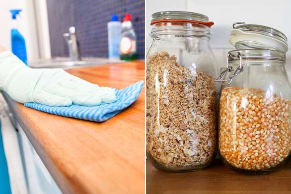 Une cuisine propre et des aliments en bocaux pour éloigner les souris.