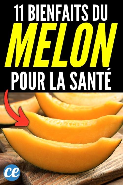 Le melon est un fruit sain qui possèdent de nombreux bienfaits pour la santé. 