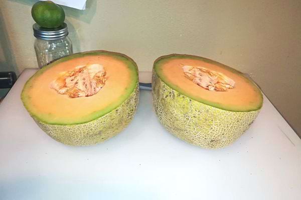 Un melon découpé en deux 