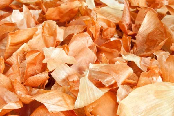 Des pelures d'oignons jaunes 
