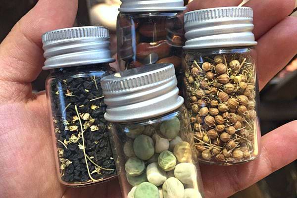 Une personne ayant quatres petits bocaux en verre de graines avec des couvercles métalliques