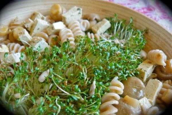 Une assiette de salade hyper protéinée et veggie