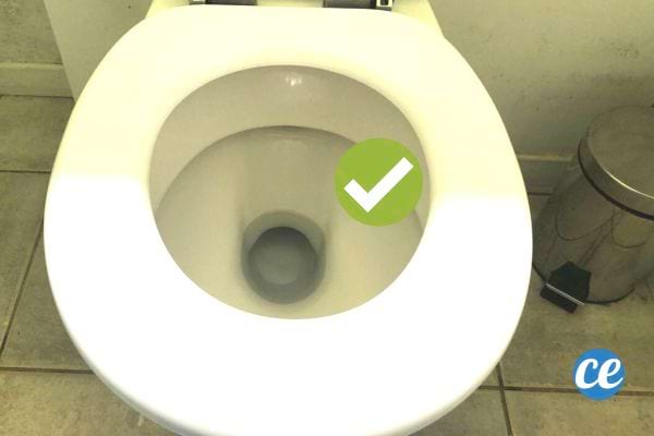 Des toilettes toute propre