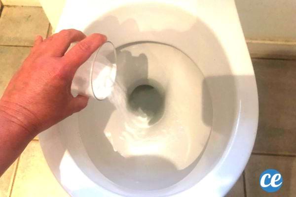 Une personne versant un verre de bicarbonate au fond des toilettes